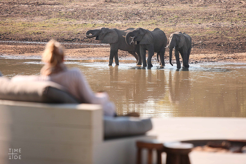 Elephants spotted outside your villa - Time + Tide Chinzombo - South Luangwa National Park, Zambia
