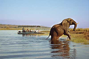 Boat safari - Tongabezi Lodge