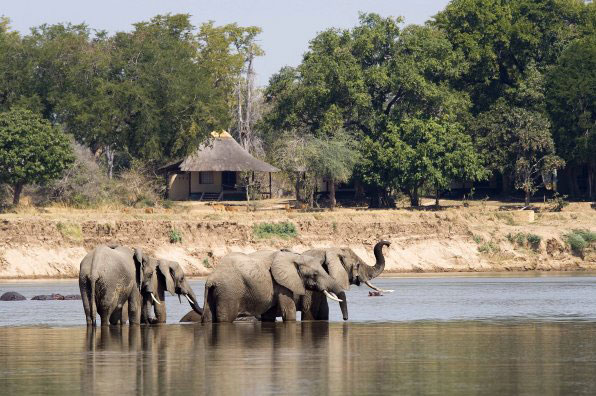 Nsefu - South Luangwa National Park - Zambia Safari Lodge