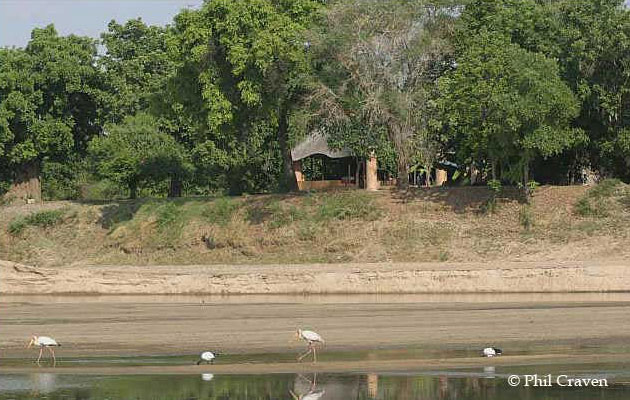 Luangwa River Camp - South Luangwa National Park - Zambia Safari Camp