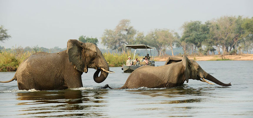 Boating at Sausage Tree Camp - Lower Zambezi National Park