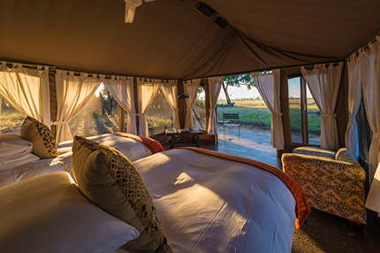 Davisons Camp - Hwange  National Park