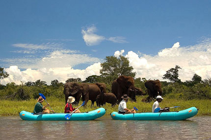 Ilala Lodge - Victoria Falls National Park - Zimbabwe Safari Lodge