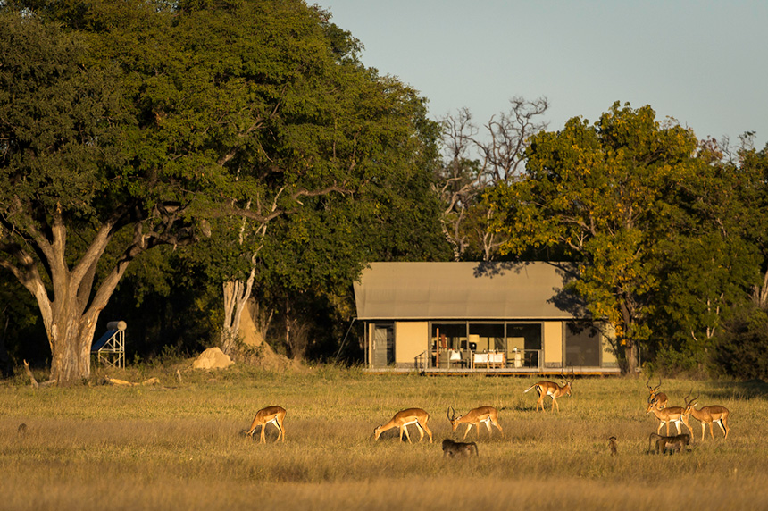 Linkwasha Camp - Hwange National Park