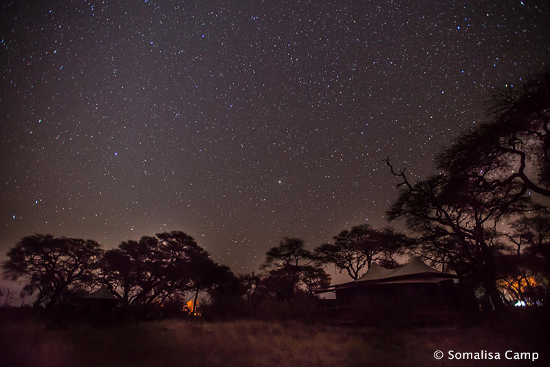 Star gazing at night - Somalisa Camp