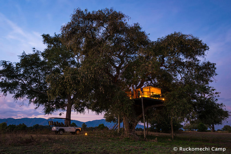 Star Bed - Ruckomechi Camp